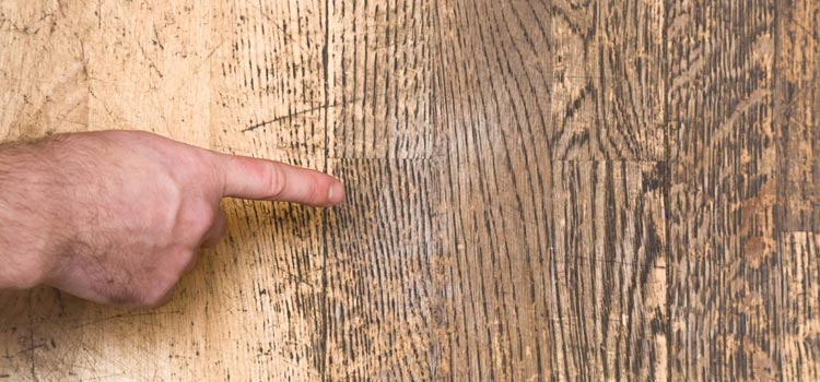 Wood Door Scratch Repair in King City